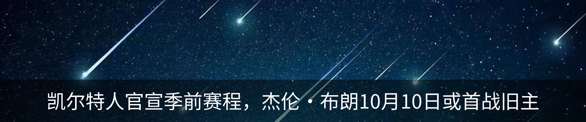 新闻动态