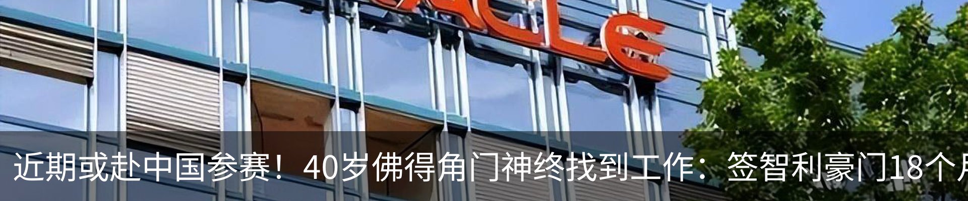 新闻动态